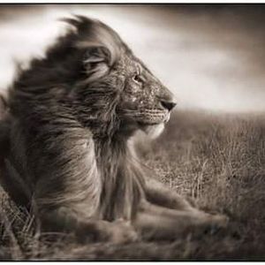 Meet your Posher, Gary